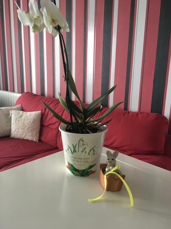 Dora City Apartament Leilighet Cluj-Napoca Eksteriør bilde